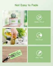 Load image into Gallery viewer, POLONO 2.25”x1.25” Direct Thermal Label, Perforated Sticker Labels for Addresses, UPC Barcodes, Adhesive Multipurpose Compatible with Zebra, Dymo, Rollo Label Printers, BPA Free (1000 Labels, Green)