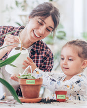 Load image into Gallery viewer, POLONO 2.25”x1.25” Direct Thermal Label, Perforated Sticker Labels for Addresses, UPC Barcodes, Adhesive Multipurpose Compatible with Zebra, Dymo, Rollo Label Printers, BPA Free (1000 Labels, Green)