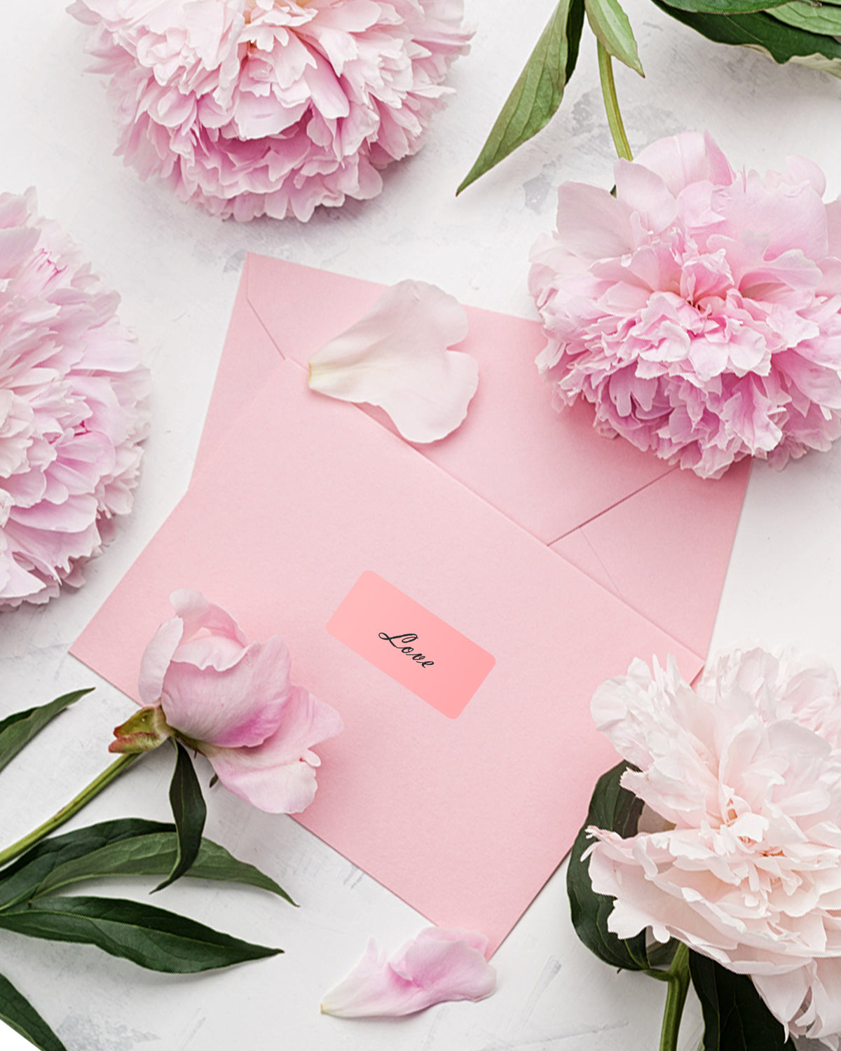 ProLine Pink Perforated 2.25x1.25 Thermal Labels - 1000 Labels Per Roll - Compatible With Zebra Rollo - 1" Core